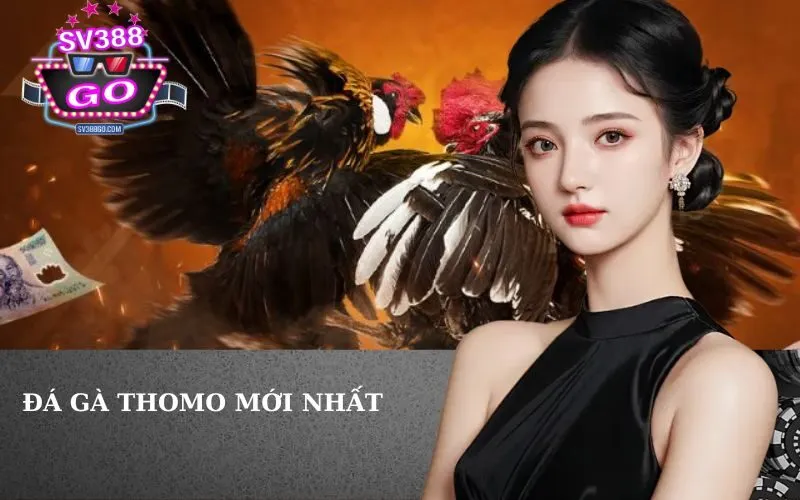 Đá Gà Thomo Mới Nhất