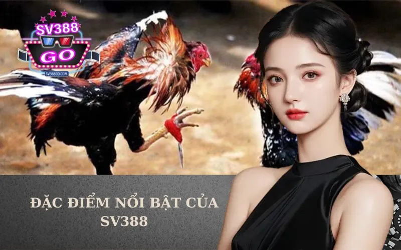 Đặc điểm nổi bật của SV388