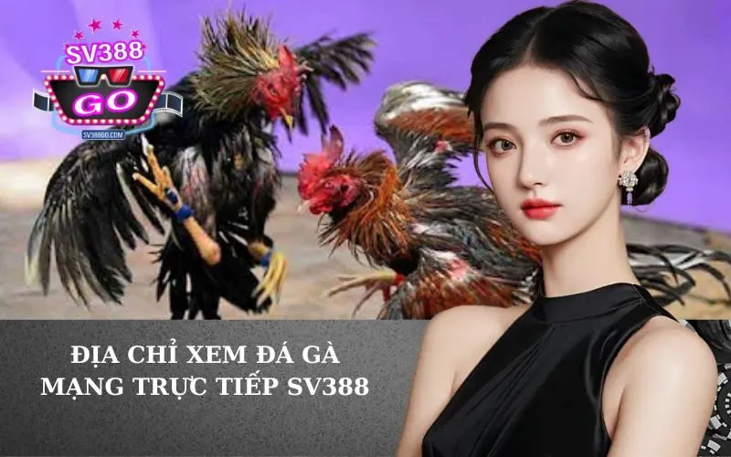 Địa Chỉ Xem Đá Gà Mạng Trực Tiếp SV388