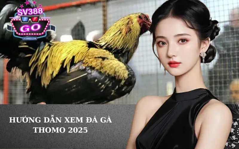 Hướng dẫn xem Đá Gà Thomo 2025