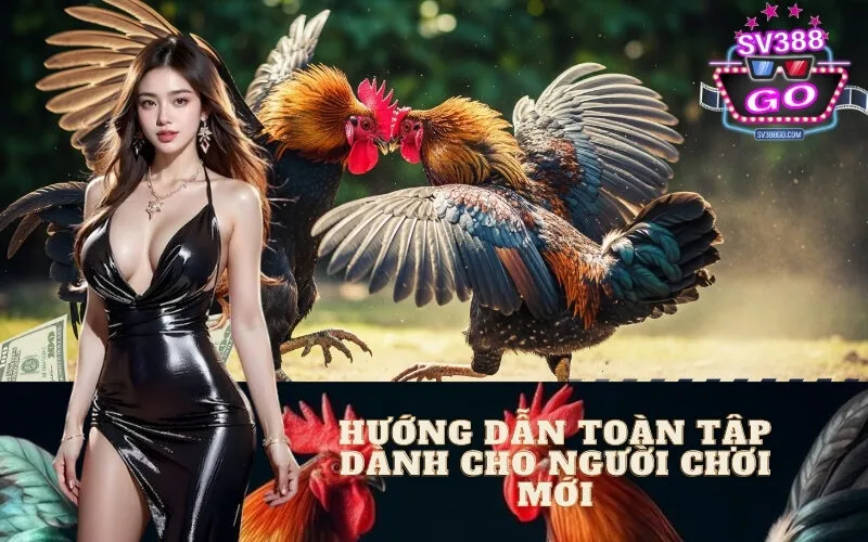Hướng dẫn toàn tập dành cho người chơi mới
